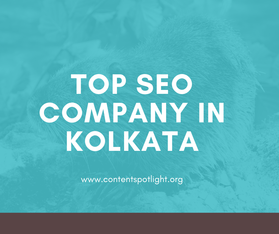 Top SEO Company in Kolkata | Best SEO agency